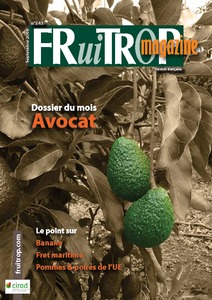 Miniature du magazine Magazine FruiTrop n°243 (jeudi 22 septembre 2016)